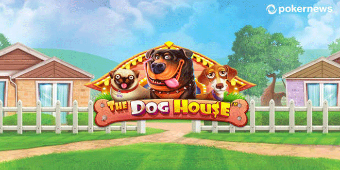 The Dog House, Permainan Bertema Anjing dengan Visual yang Menggemaskan